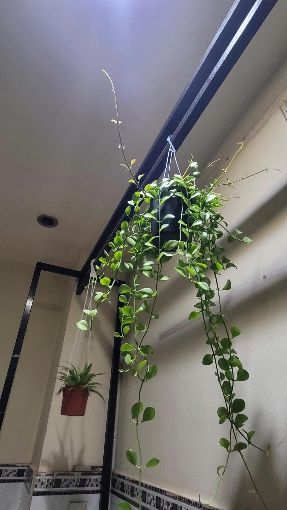 Homestay Fairy'S House Ho Chi Minh City Exterior photo